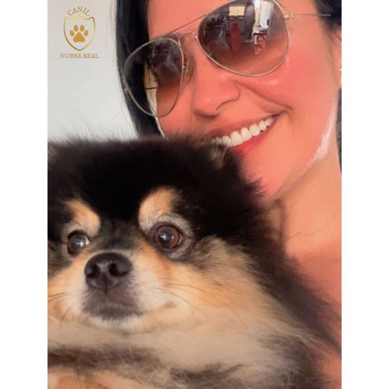 Nossa Cliente de Quixadá- CE com Lulu da Pomerânia da Canil Nobre Real.