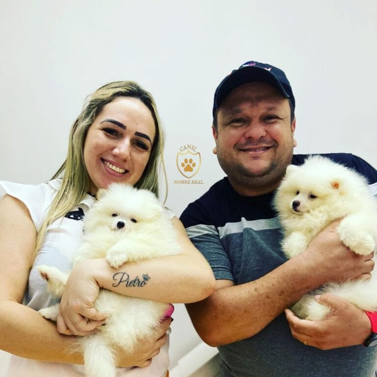 Nossos Clientes com Lulus da Pomerânia da Canil Nobre Real.