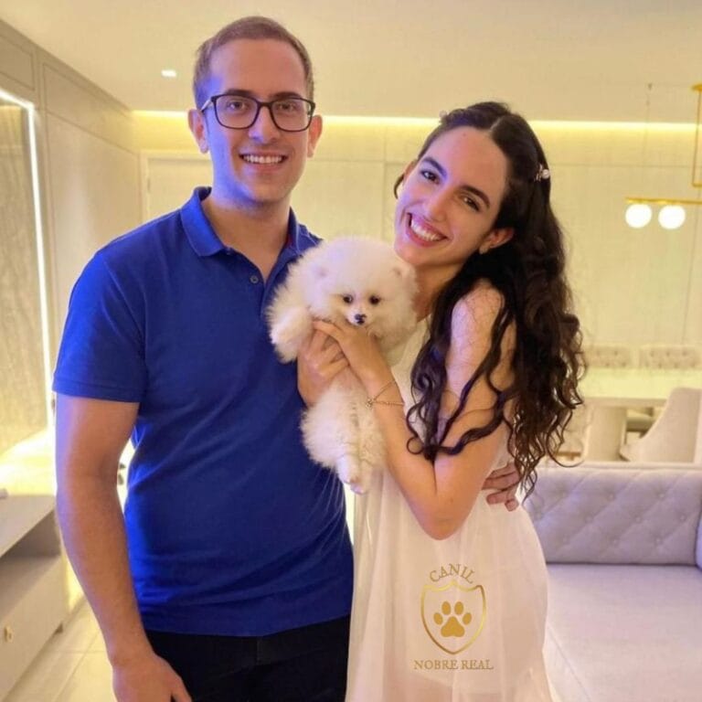 Nossos Clientes com Lulu da Pomerânia da Canil Nobre Real.