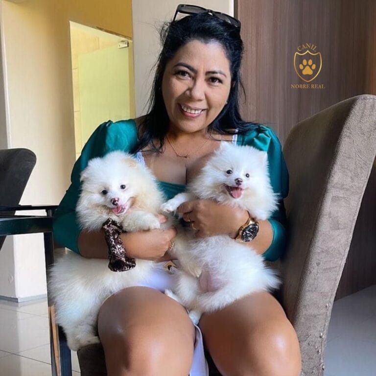 Nossa Cliente com Lulus da Pomerânia da Canil Nobre Real.