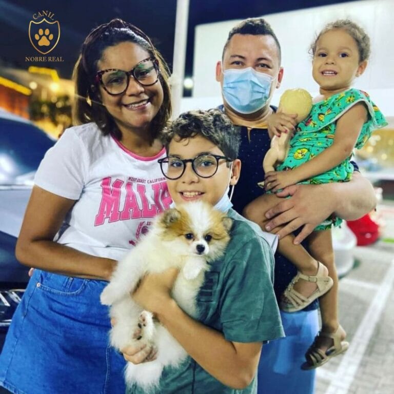 Nossos Clientes com Lulu da Pomerânia da Canil Nobre Real.