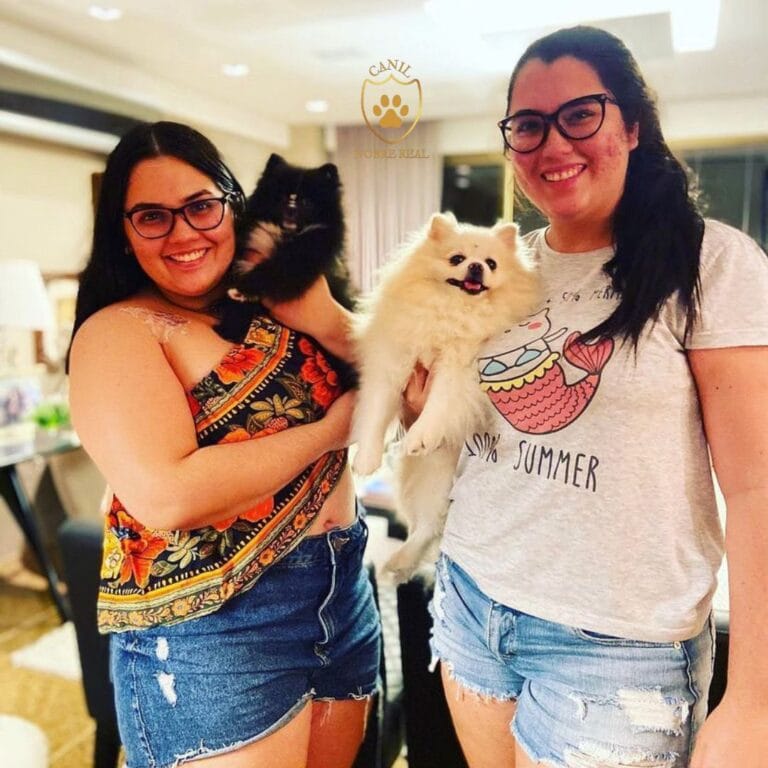 Nossas Clientes com Lulus da Pomerânia da Canil Nobre Real