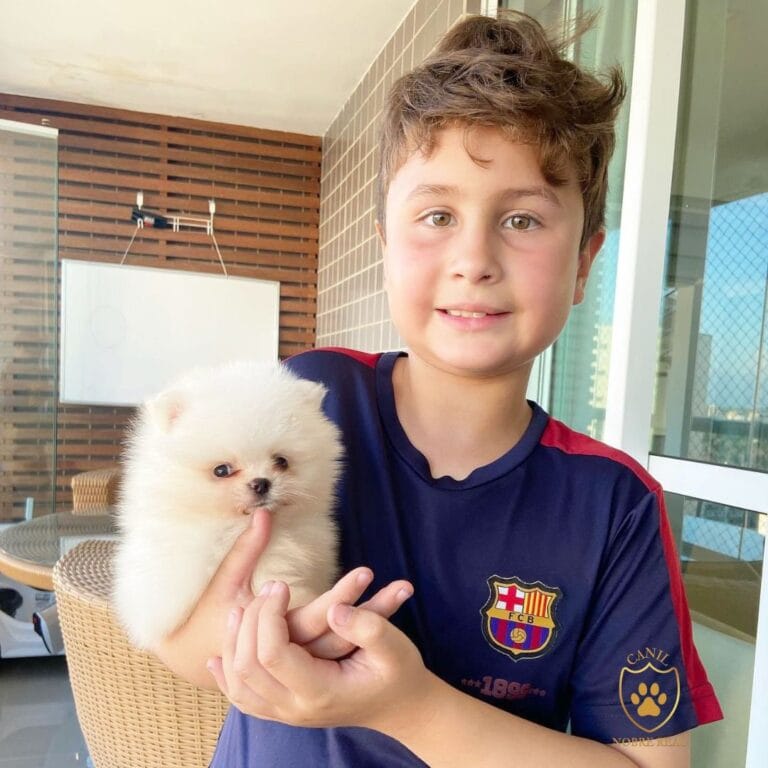 Cliente com Lulu da Pomerânia da Canil Nobre Real