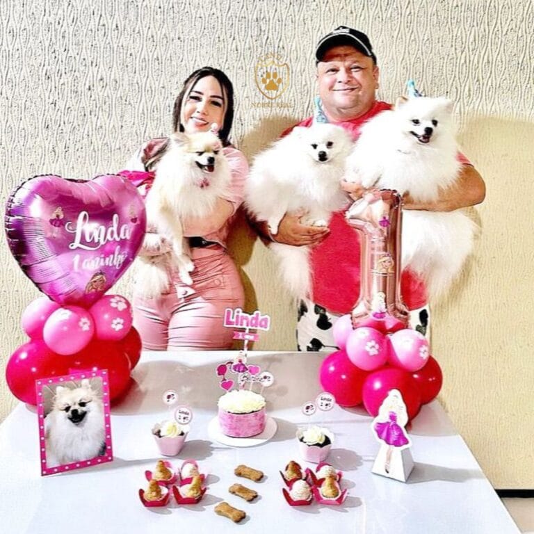 Comemoração em Família do aniversário de sua Lulu da Pomerânia da Canil Nobre Real.